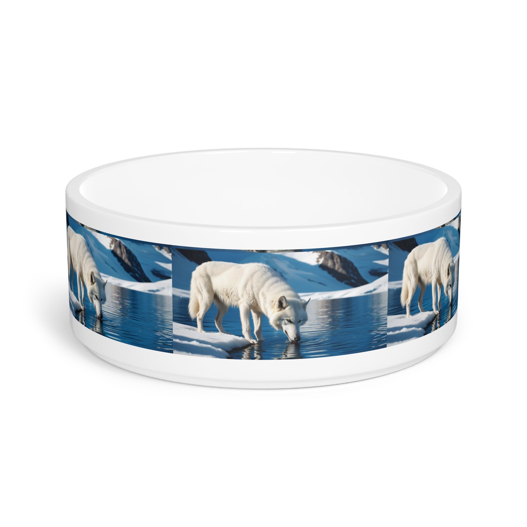 Ceramic Pet Bowl – 16 oz Dog Feeding Bowl