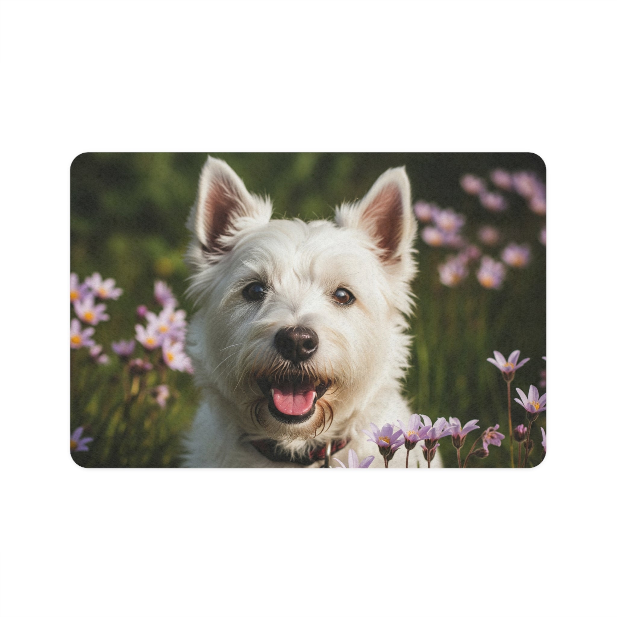 Non-Slip Pet Food Mat – Waterproof Feeding Mat for Dogs