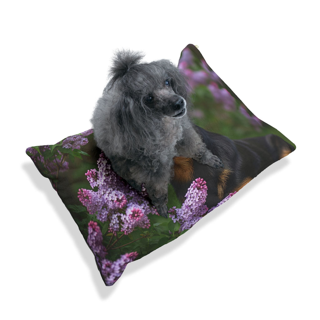 Pet Bed – Plush Dog Bed, 3 Size Options