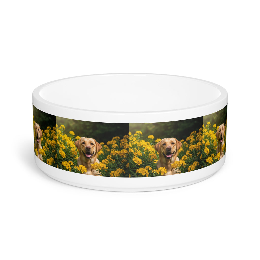 Ceramic Pet Bowl – 16 oz Dog Feeding Bowl