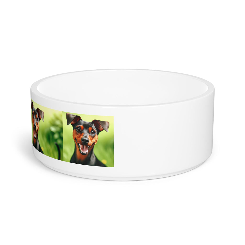 Ceramic Pet Bowl – 16 oz Dog Feeding Bowl