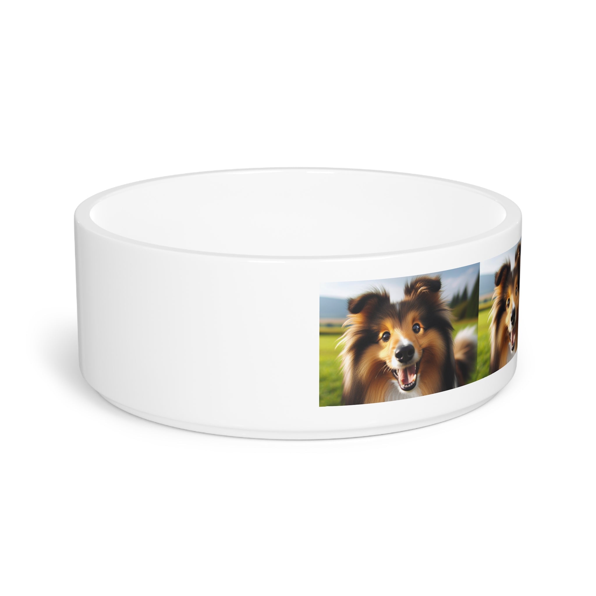 Ceramic Pet Bowl – 16 oz Dog Feeding Bowl