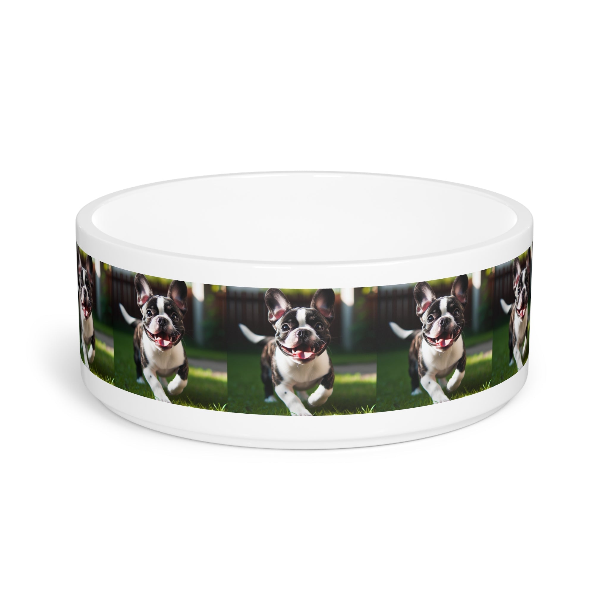 Ceramic Pet Bowl – 16 oz Dog Feeding Bowl