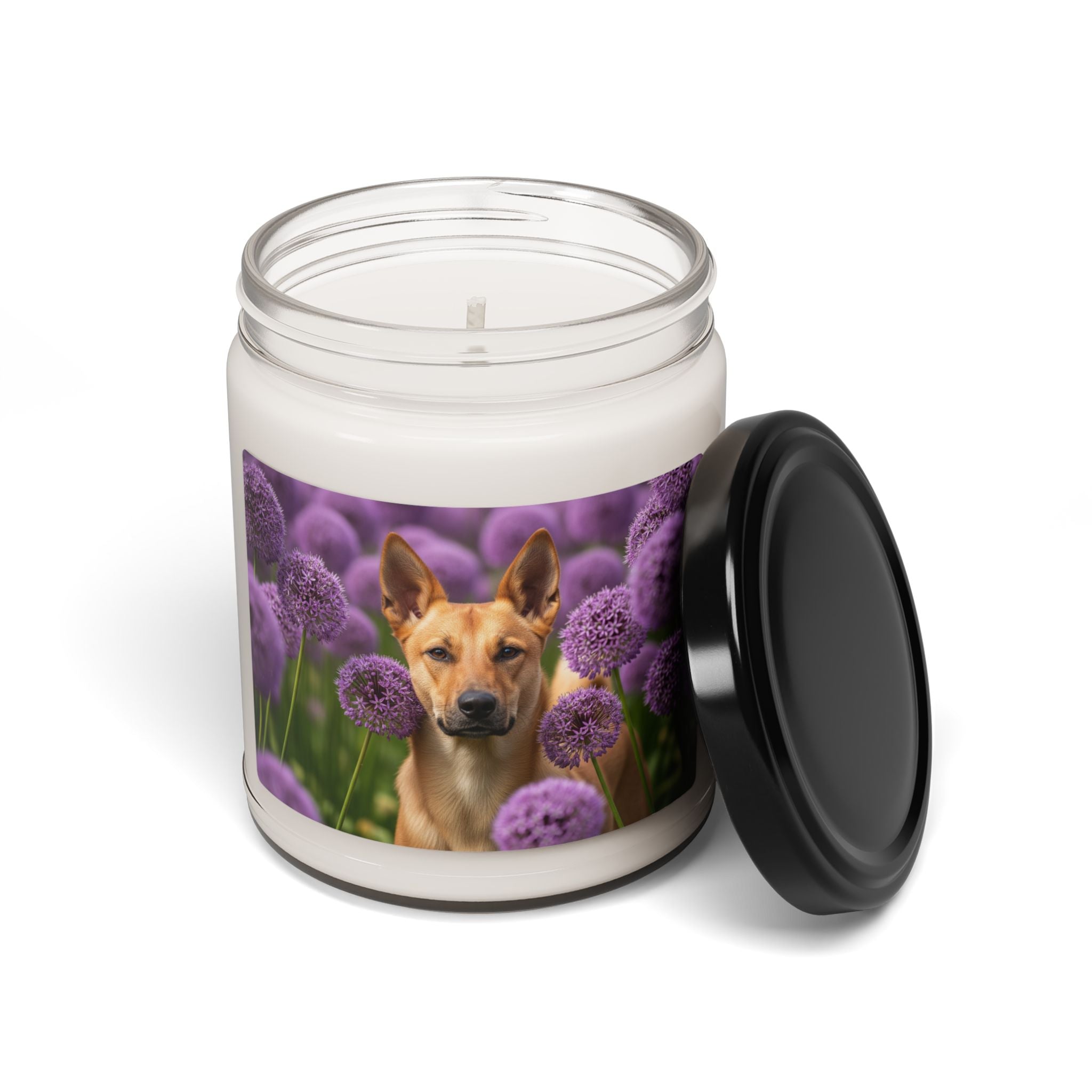 Soy Candle – Scented Jar Candle
