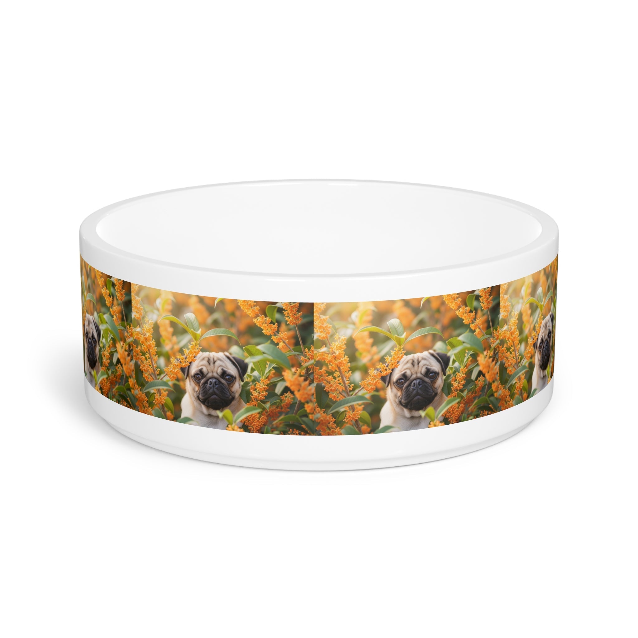 Ceramic Pet Bowl – 16 oz Dog Feeding Bowl