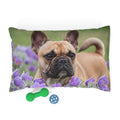 Pet Bed – Plush Dog Bed, 3 Size Options