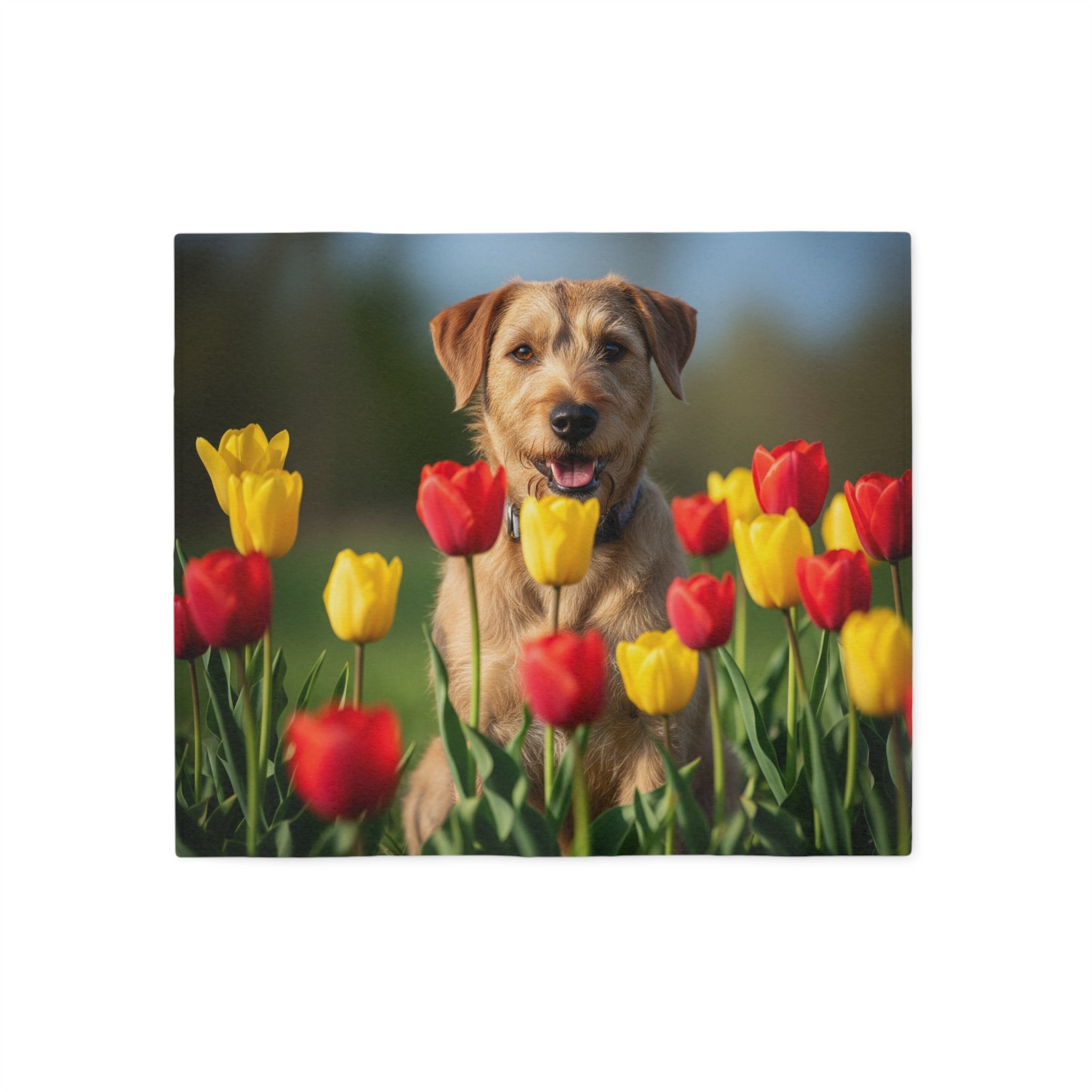Sweatshirt Blanket – Plush Fleece Throw, 2 Size Options