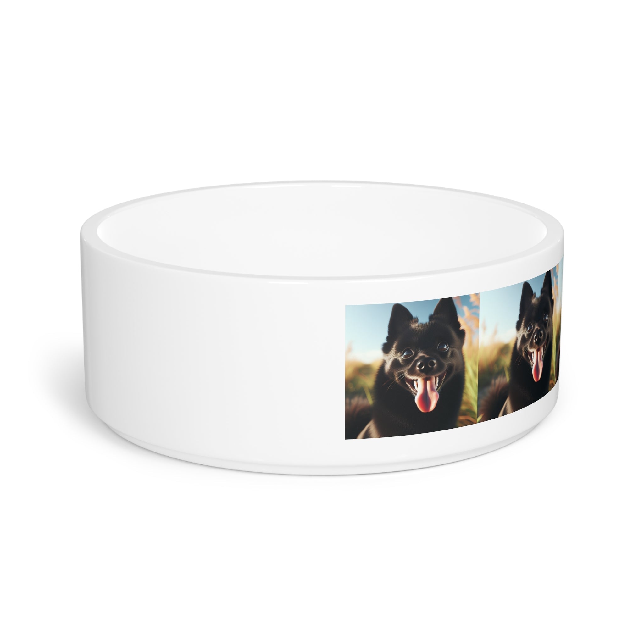 Ceramic Pet Bowl – 16 oz Dog Feeding Bowl