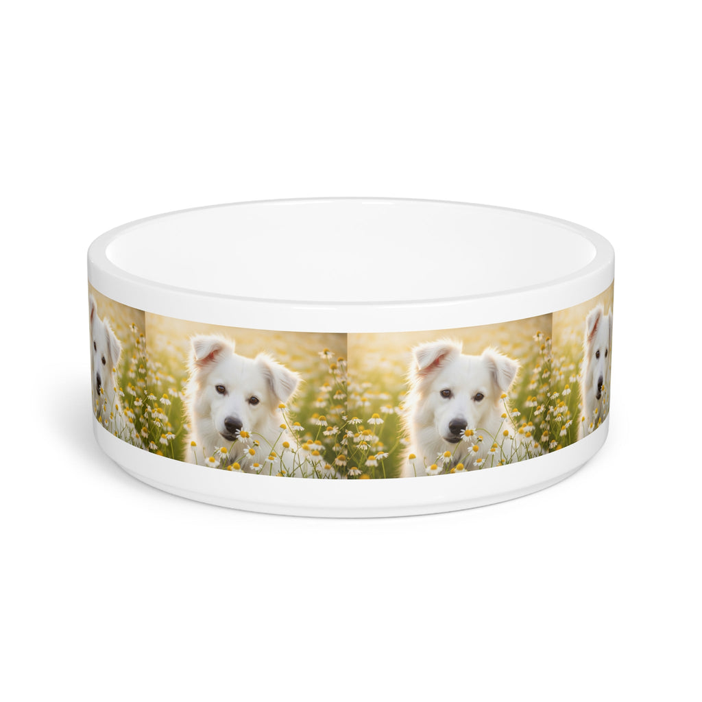 Ceramic Pet Bowl – 16 oz Dog Feeding Bowl