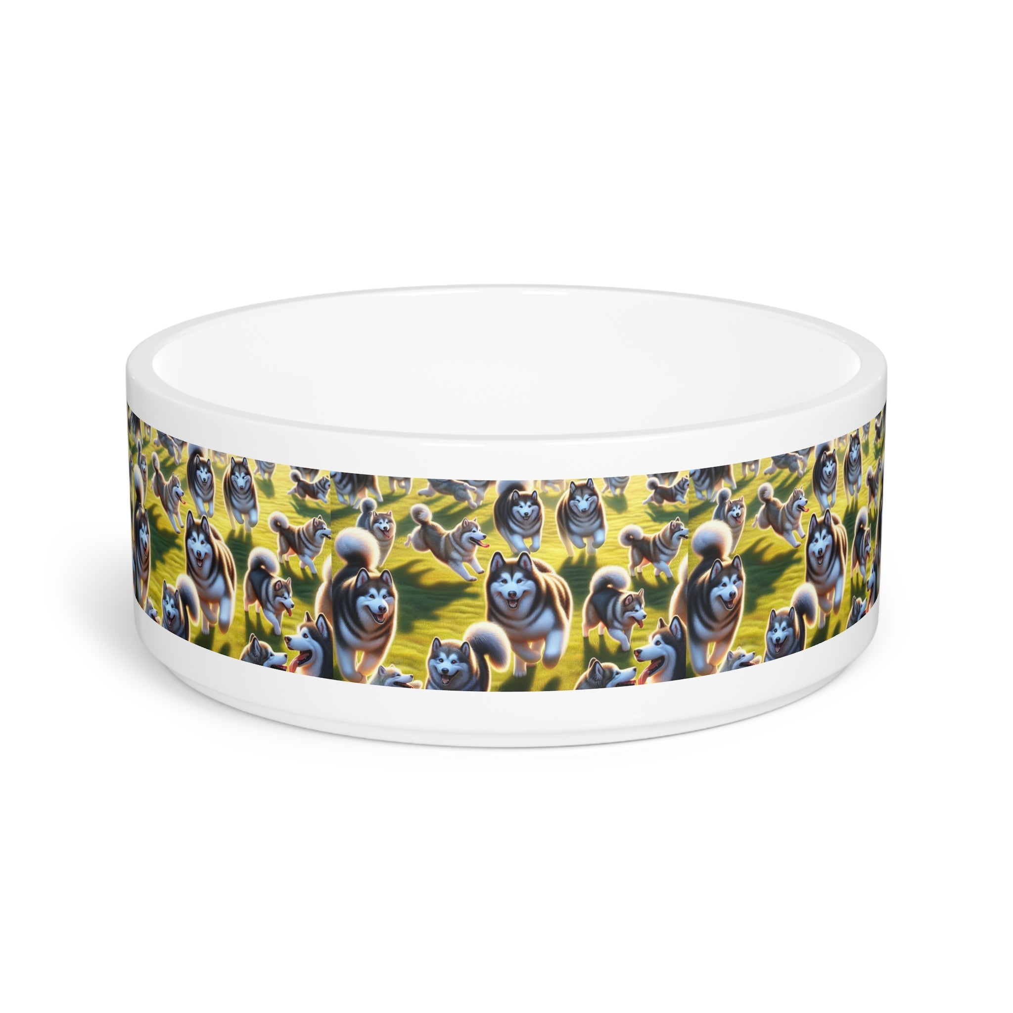 Ceramic Pet Bowl – 16 oz Dog Feeding Bowl