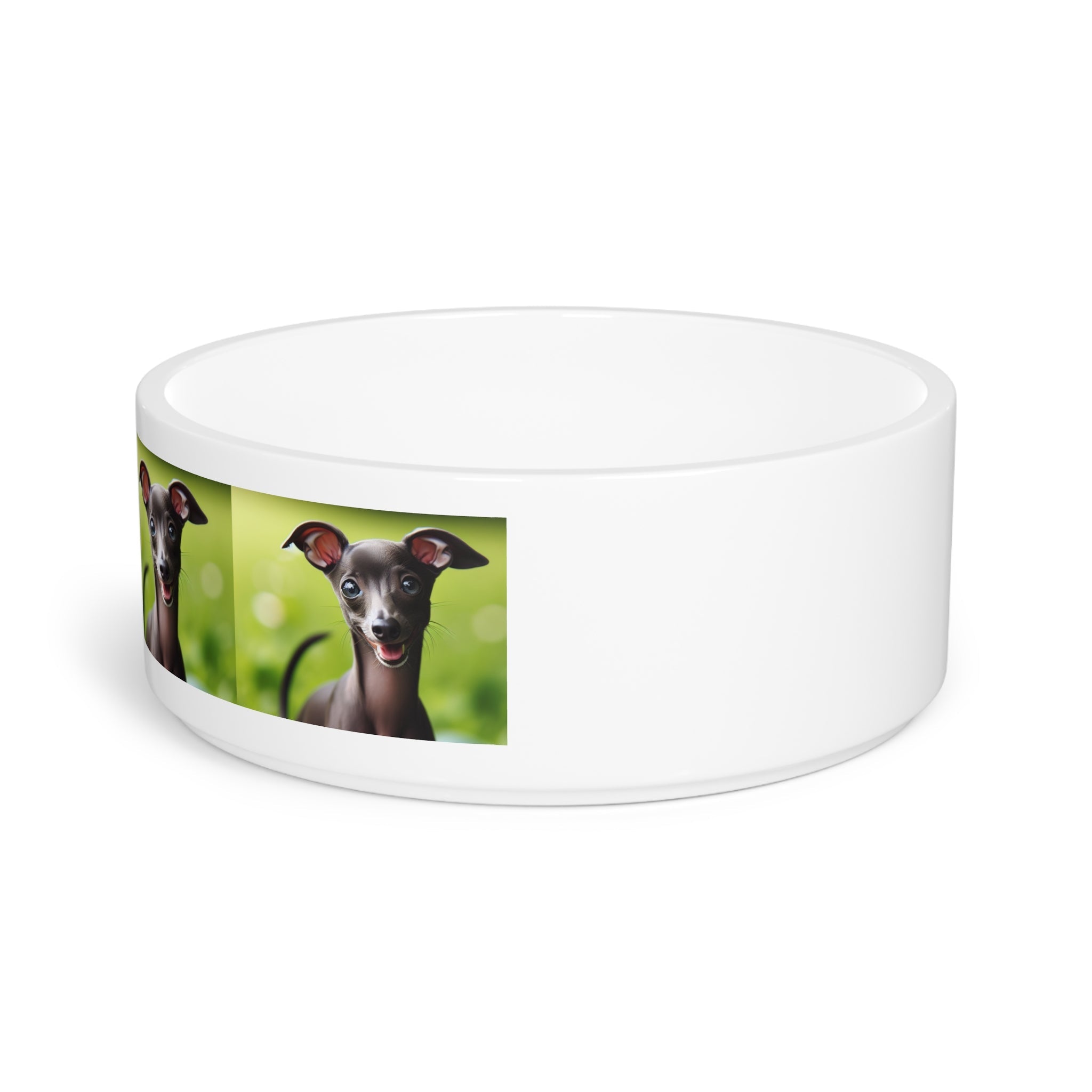 Ceramic Pet Bowl – 16 oz Dog Feeding Bowl