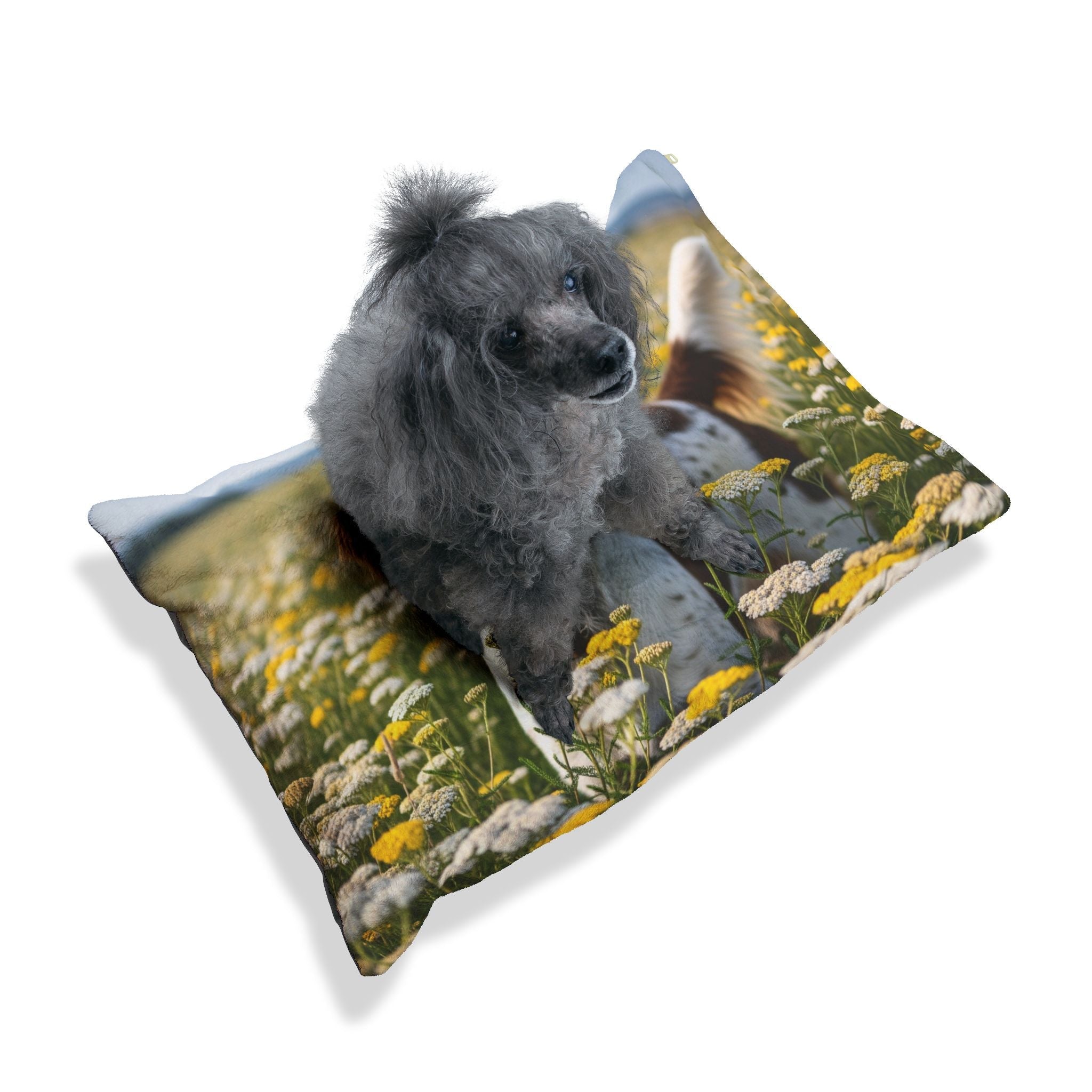 Pet Bed – Plush Dog Bed, 3 Size Options