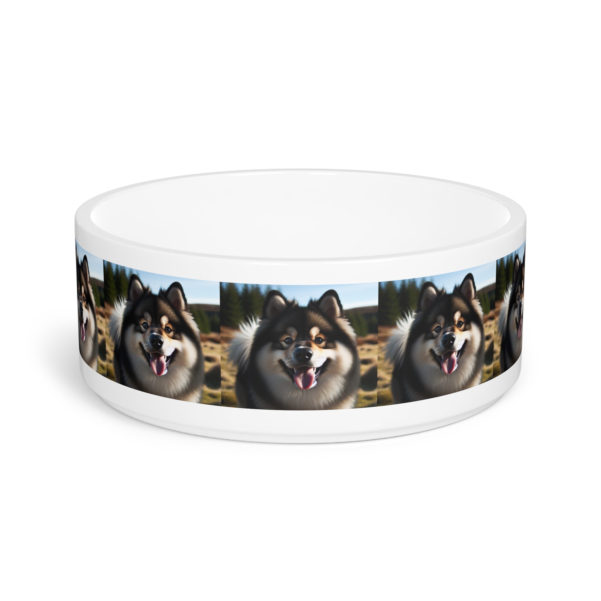 Ceramic Pet Bowl – 16 oz Dog Feeding Bowl