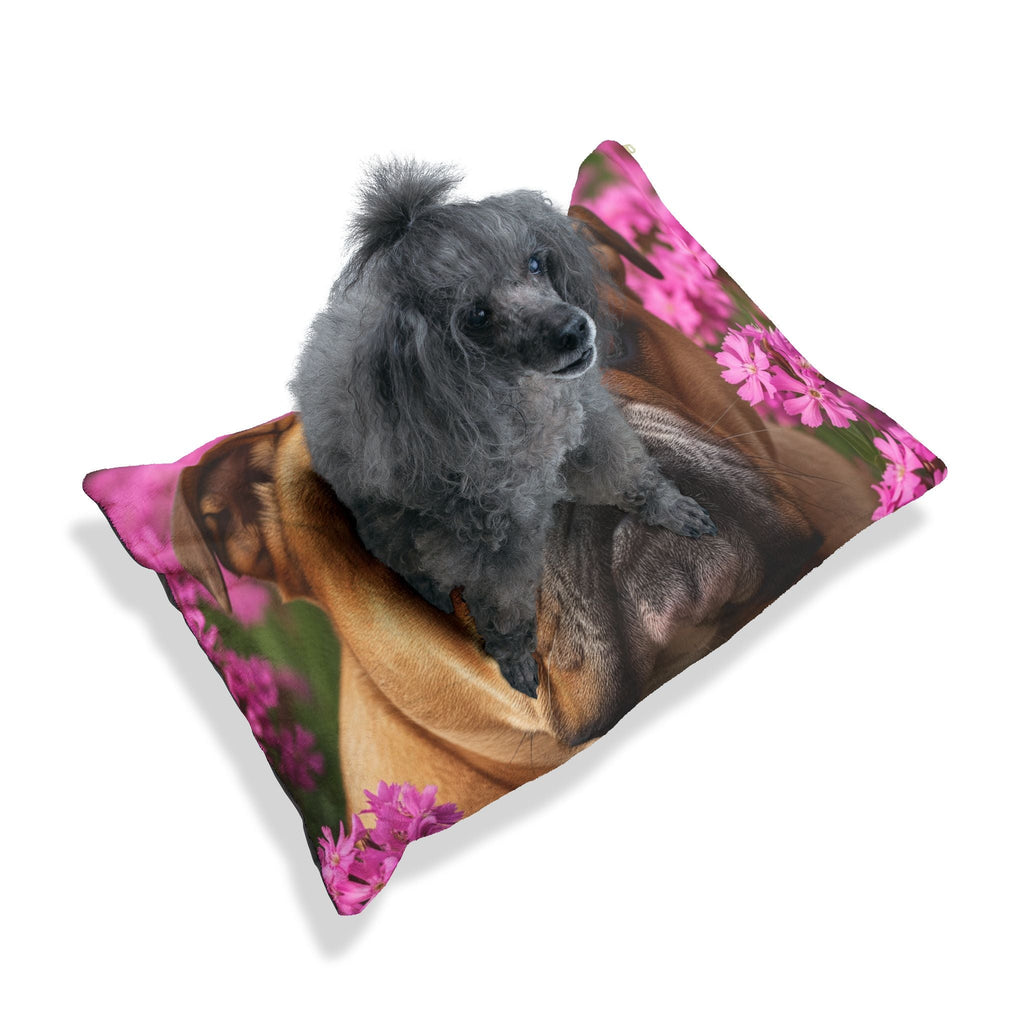 Pet Bed – Plush Dog Bed, 3 Size Options