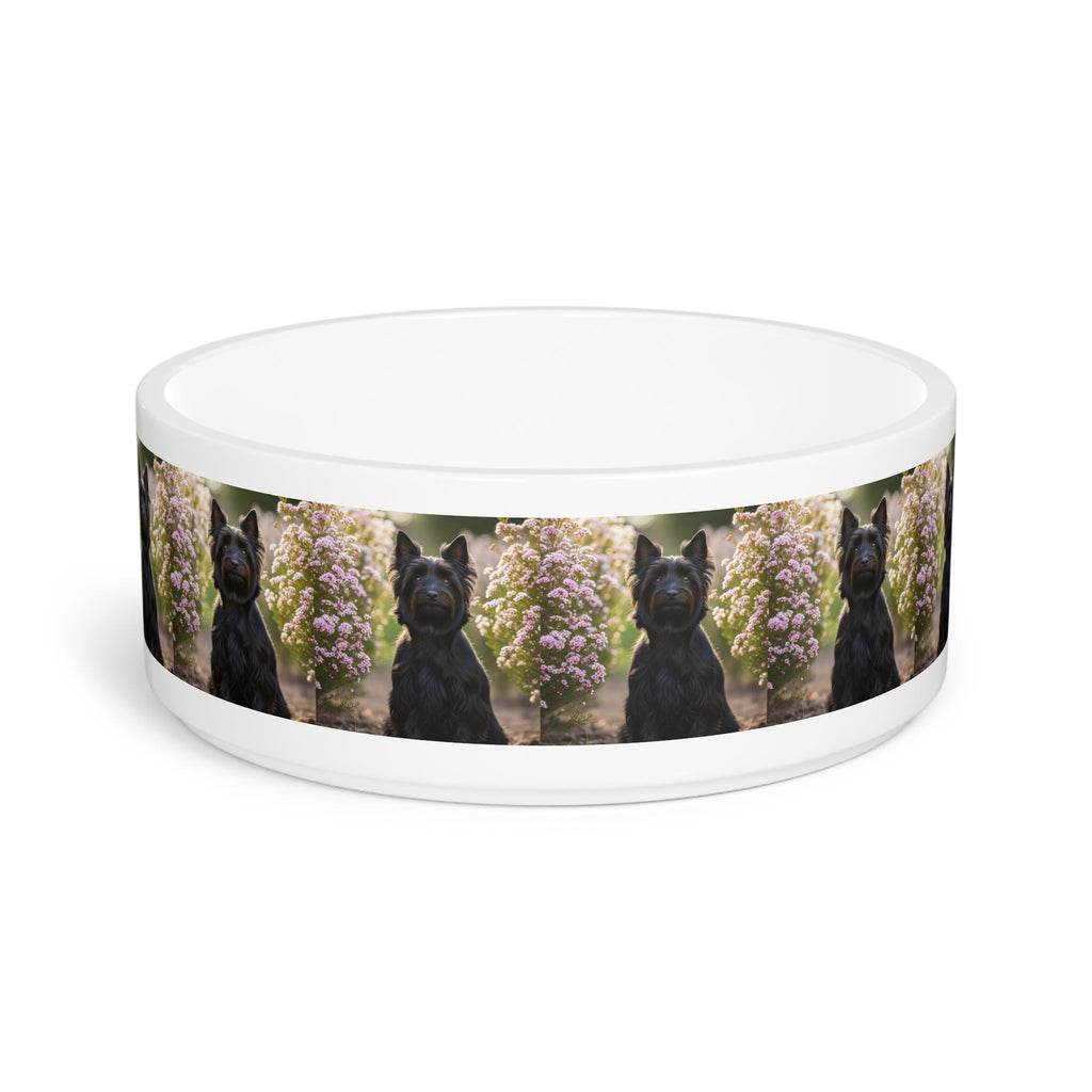 Ceramic Pet Bowl – 16 oz Dog Feeding Bowl
