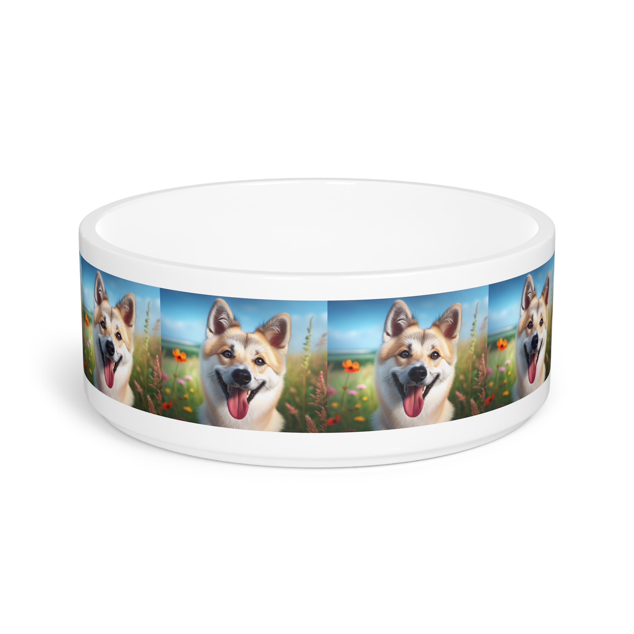 Ceramic Pet Bowl – 16 oz Dog Feeding Bowl