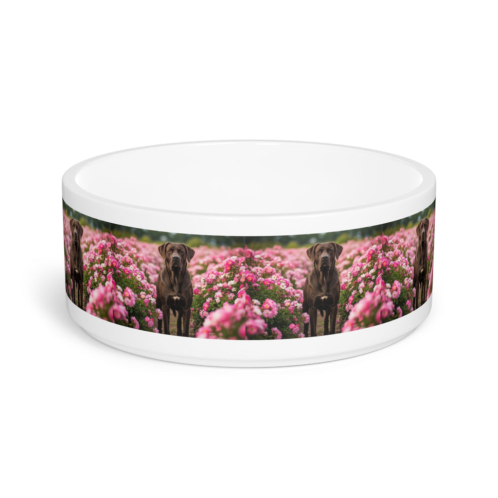 Ceramic Pet Bowl – 16 oz Dog Feeding Bowl