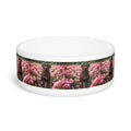 Ceramic Pet Bowl – 16 oz Dog Feeding Bowl