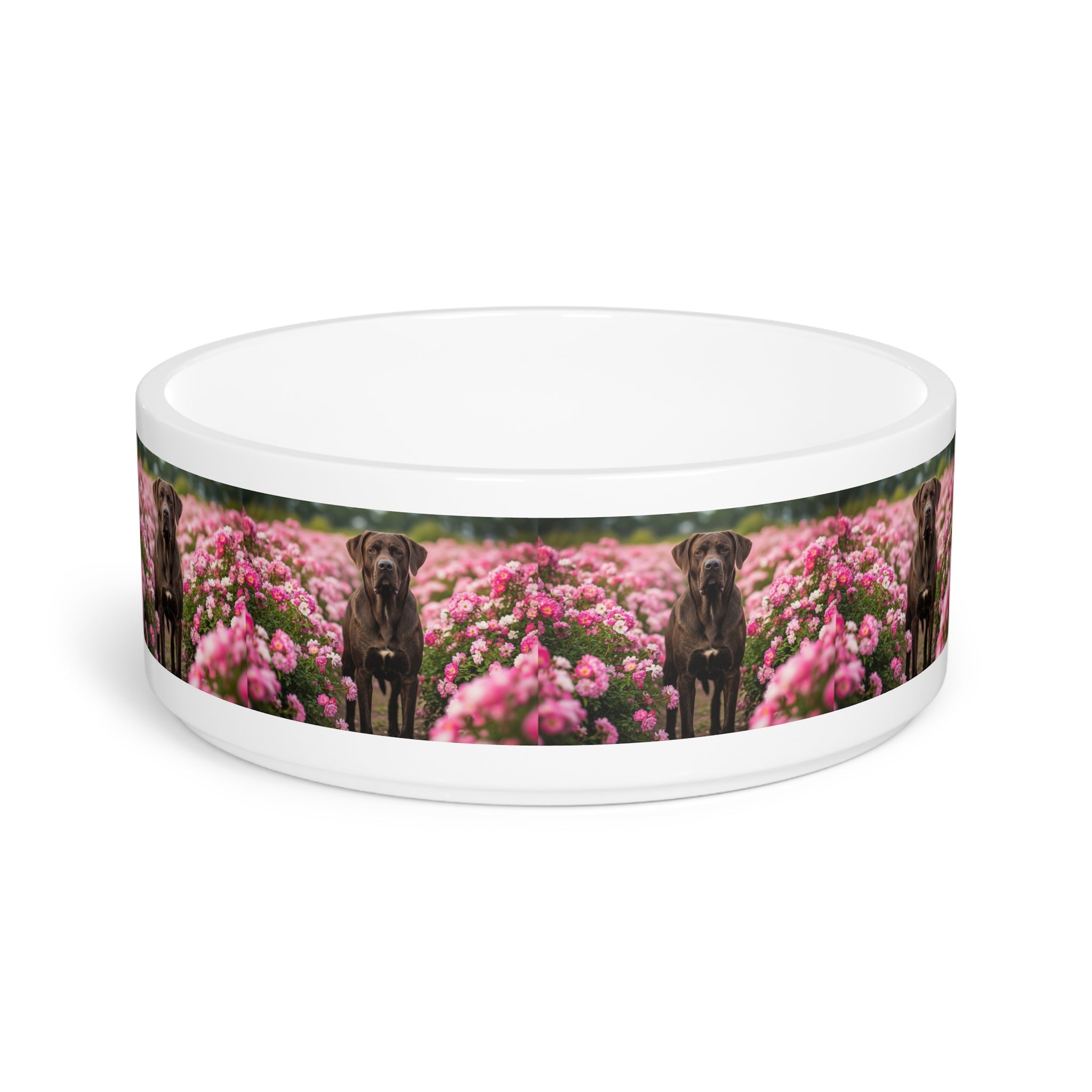 Ceramic Pet Bowl – 16 oz Dog Feeding Bowl