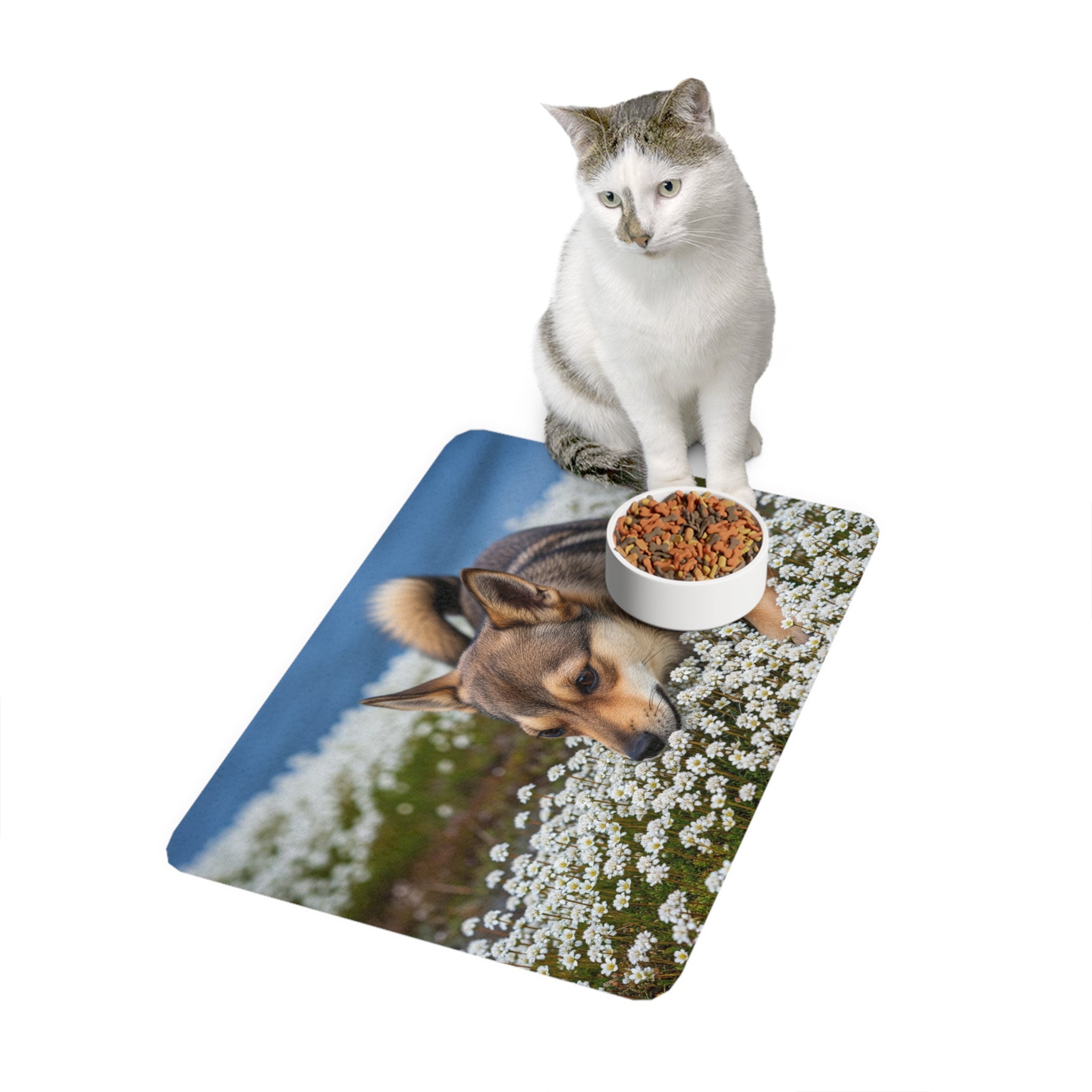 Non-Slip Pet Food Mat – Waterproof Feeding Mat for Dogs
