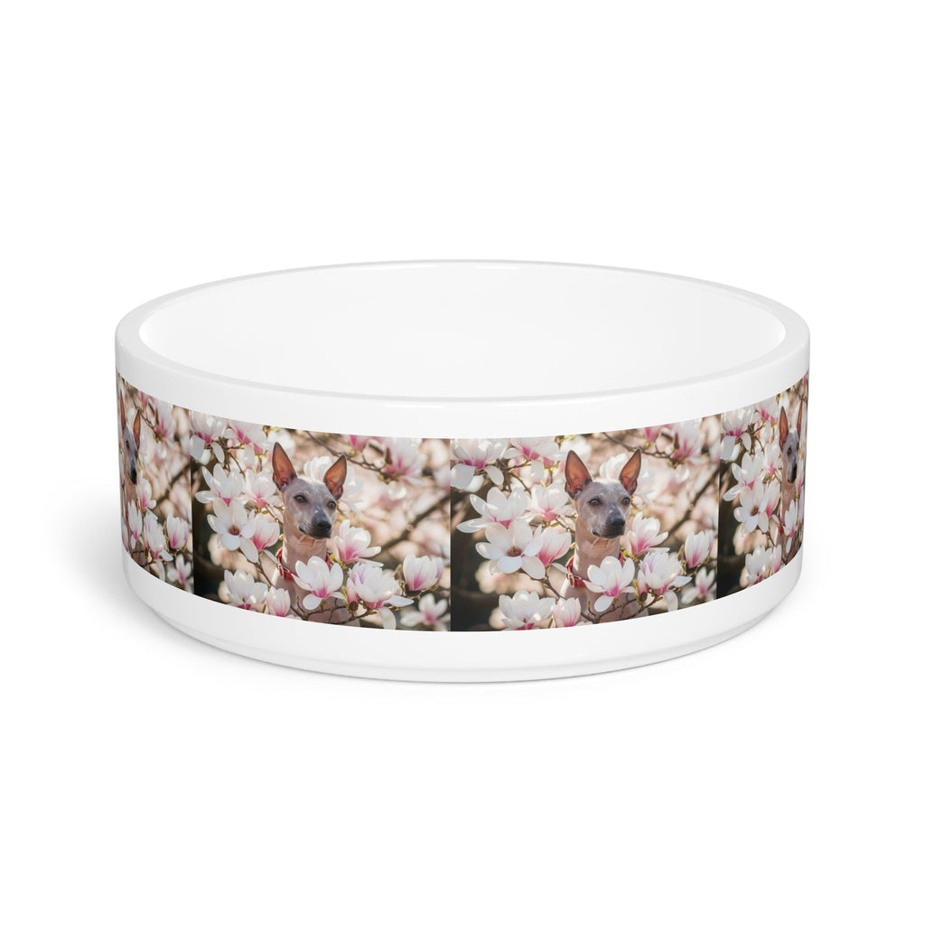 Ceramic Pet Bowl – 16 oz Dog Feeding Bowl