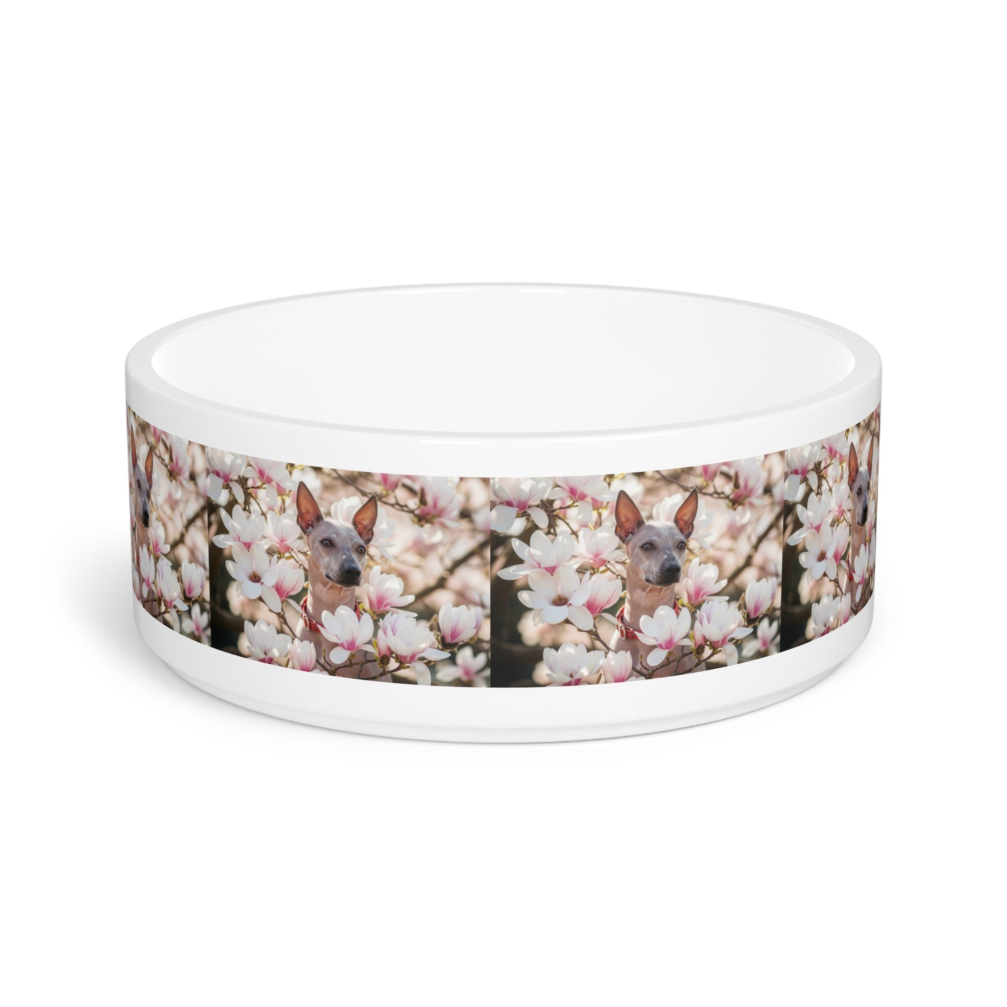 Ceramic Pet Bowl – 16 oz Dog Feeding Bowl