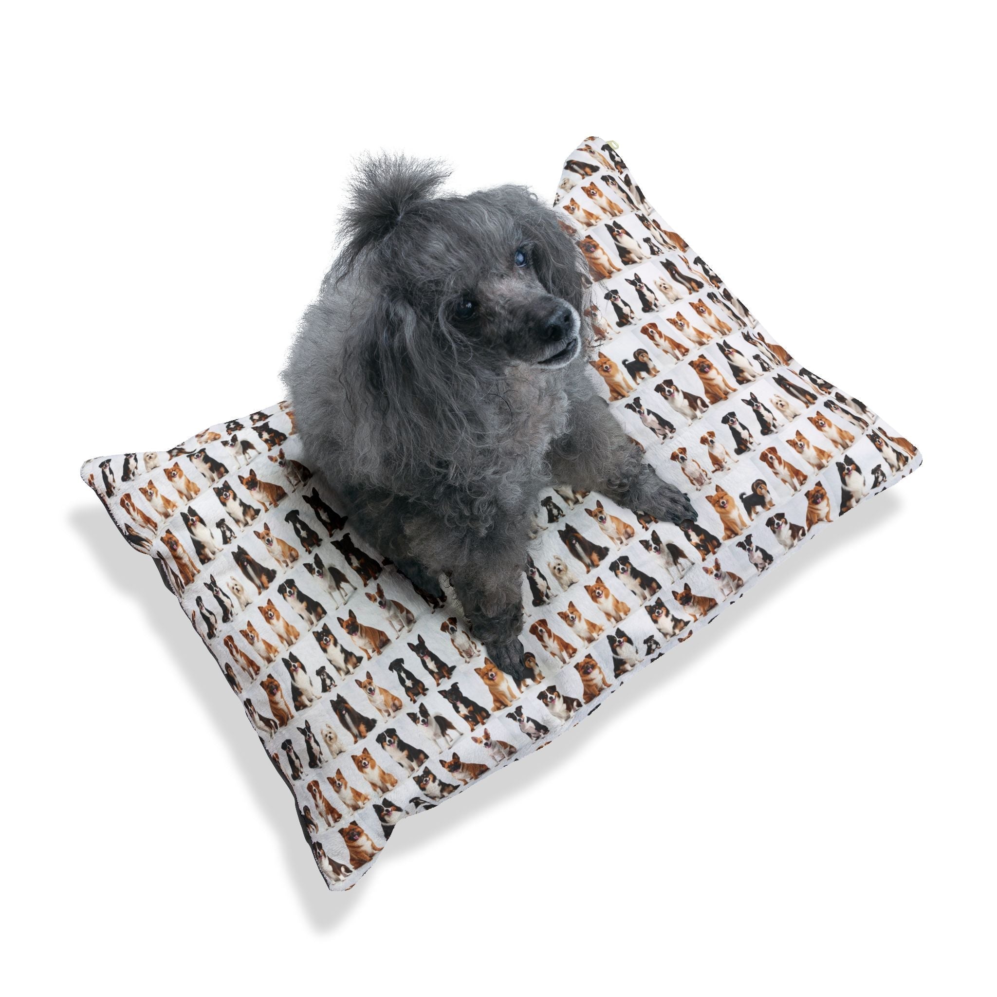Pet Bed – Plush Dog Bed, 3 Size Options