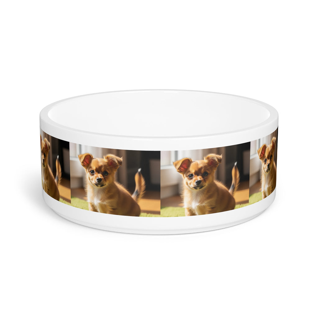 Ceramic Pet Bowl – 16 oz Dog Feeding Bowl