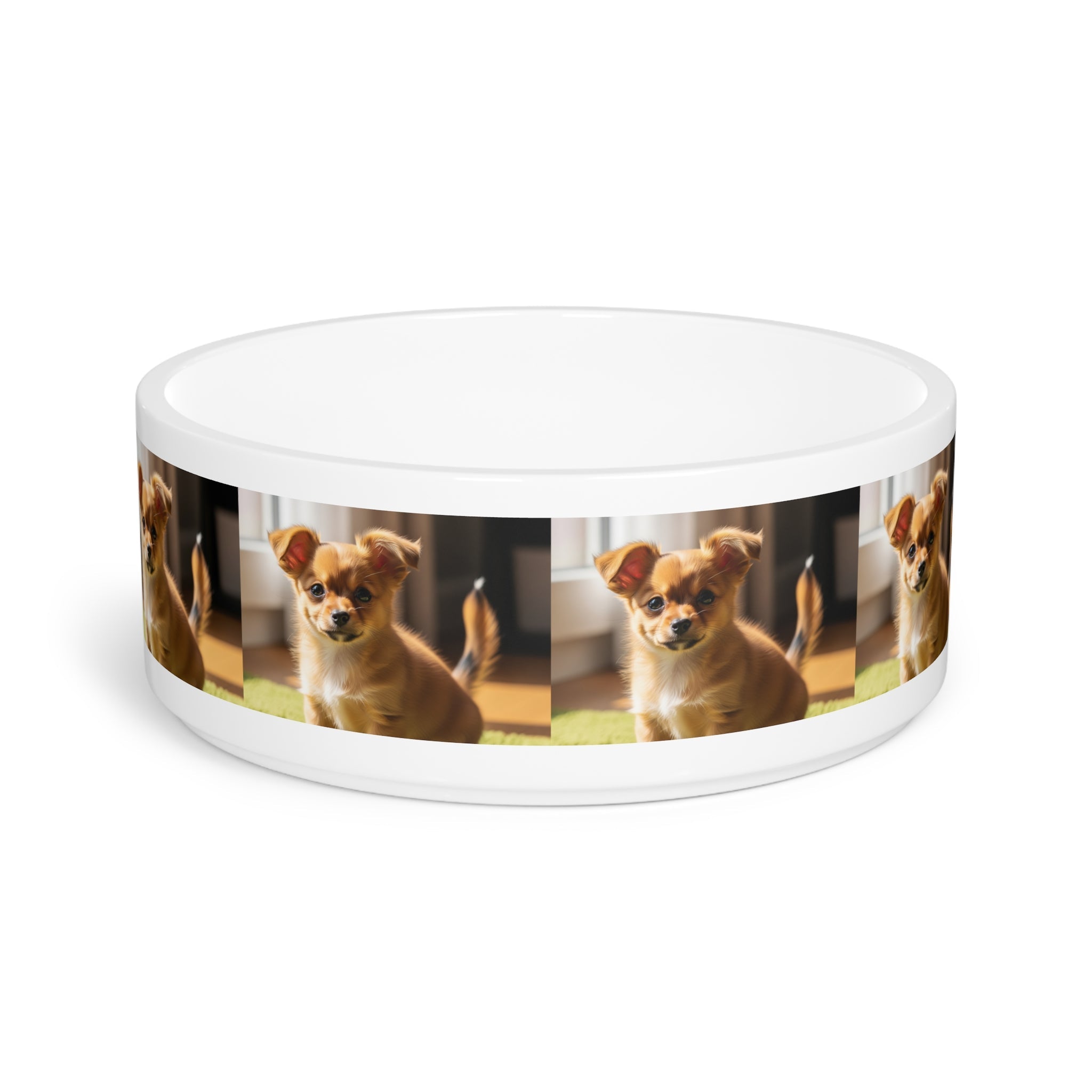 Ceramic Pet Bowl – 16 oz Dog Feeding Bowl