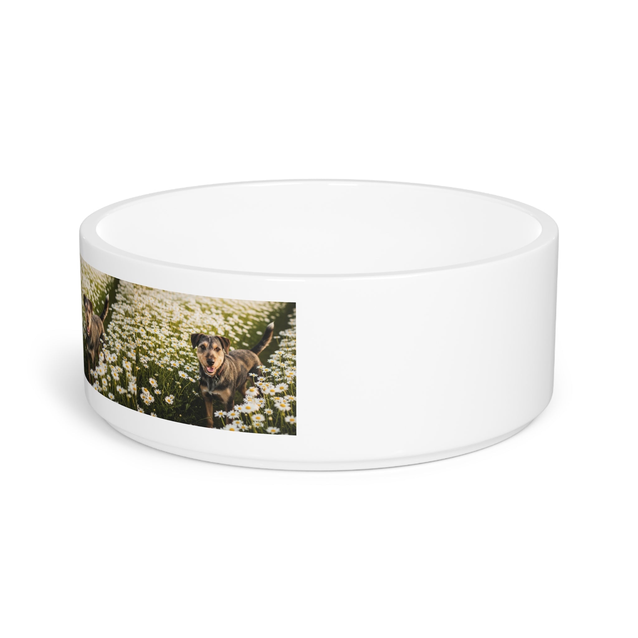 Ceramic Pet Bowl – 16 oz Dog Feeding Bowl