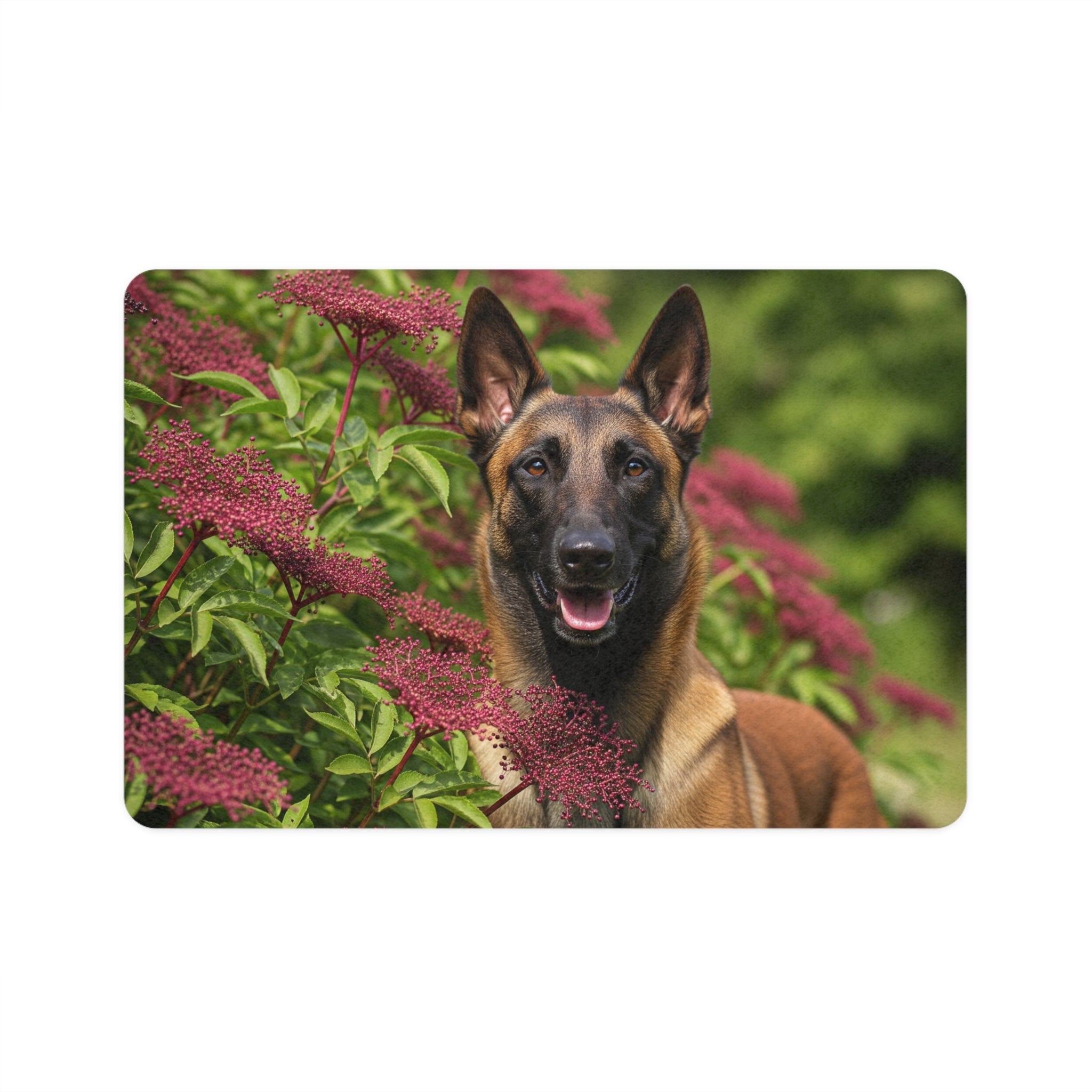 Non-Slip Pet Food Mat – Waterproof Feeding Mat for Dogs