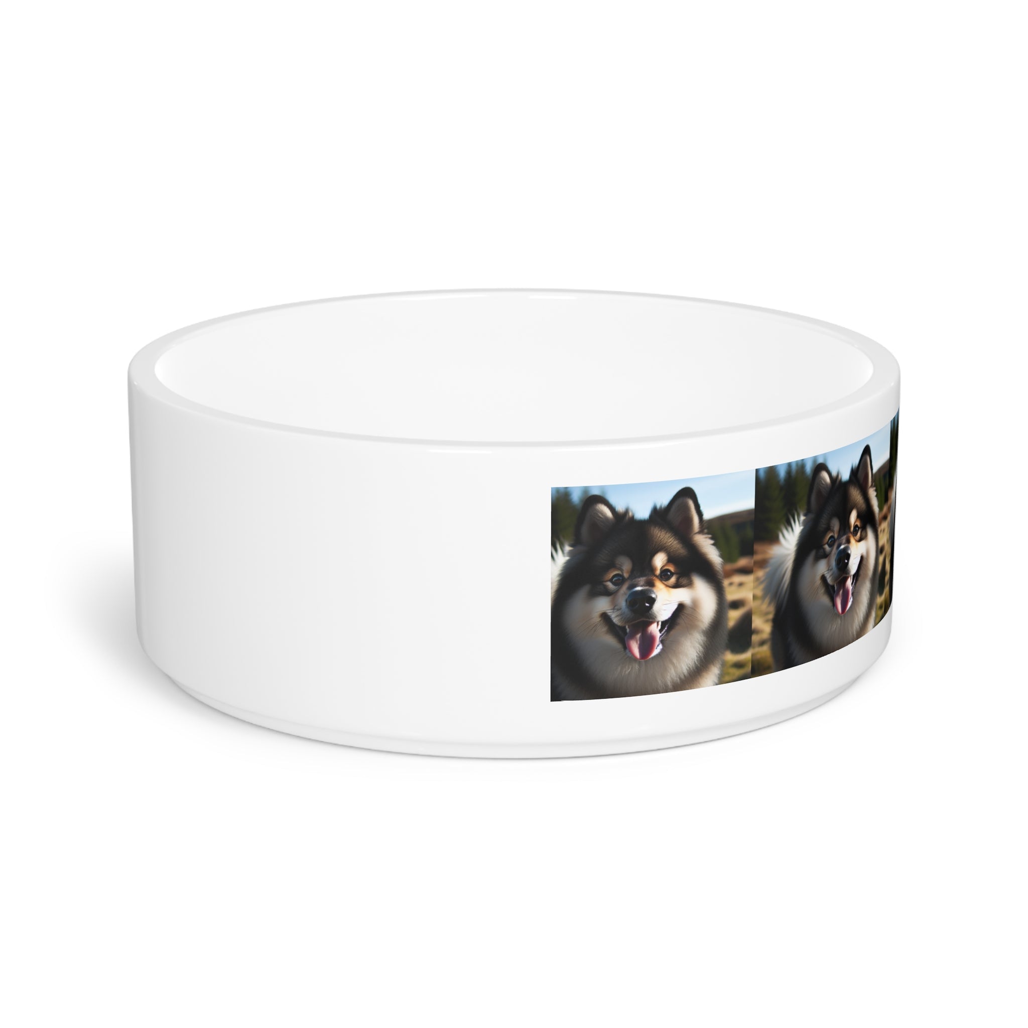 Ceramic Pet Bowl – 16 oz Dog Feeding Bowl
