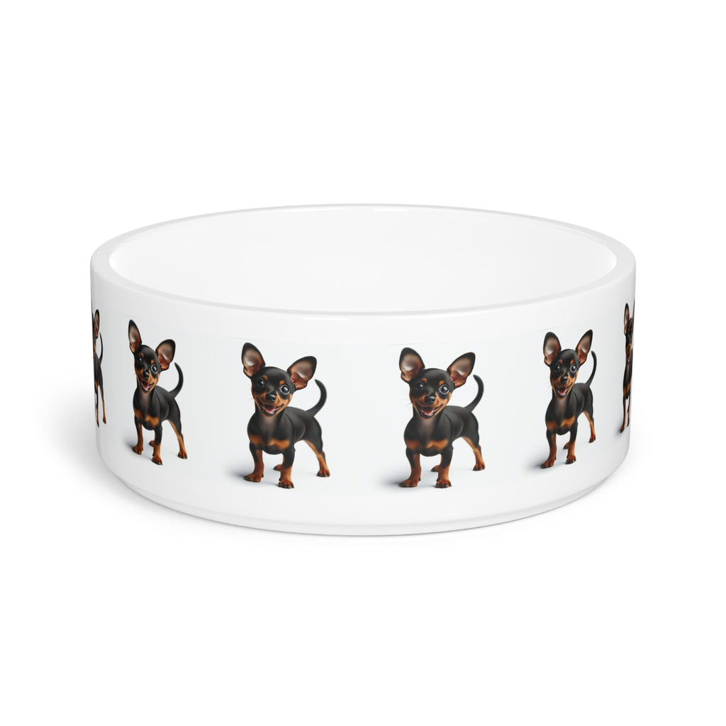 Ceramic Pet Bowl – 16 oz Dog Feeding Bowl