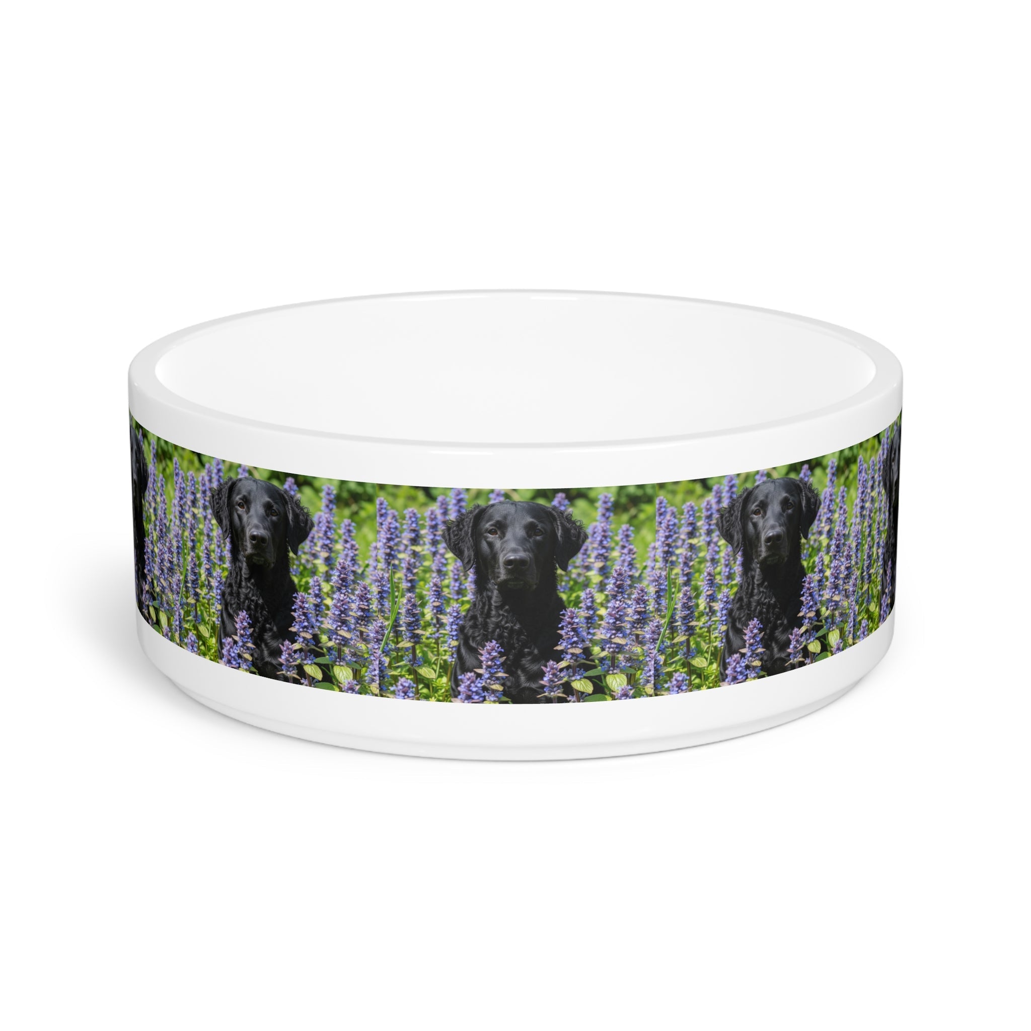 Ceramic Pet Bowl – 16 oz Dog Feeding Bowl