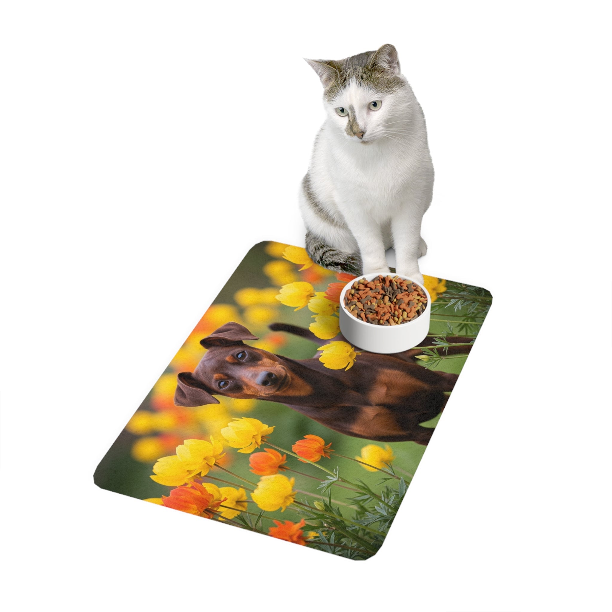 Non-Slip Pet Food Mat – Waterproof Feeding Mat for Dogs