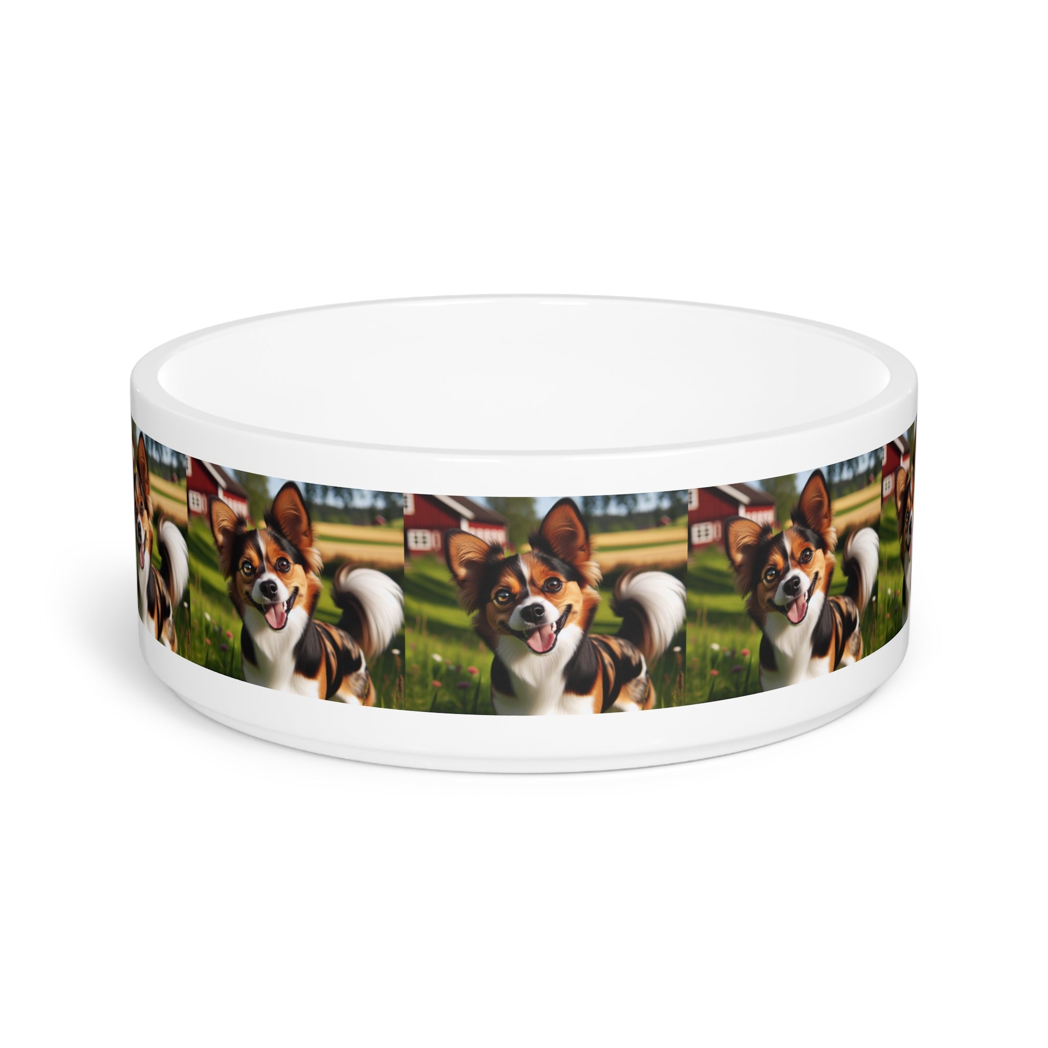 Ceramic Pet Bowl – 16 oz Dog Feeding Bowl