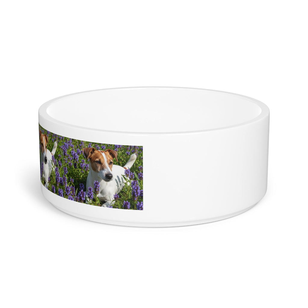 Ceramic Pet Bowl – 16 oz Dog Feeding Bowl
