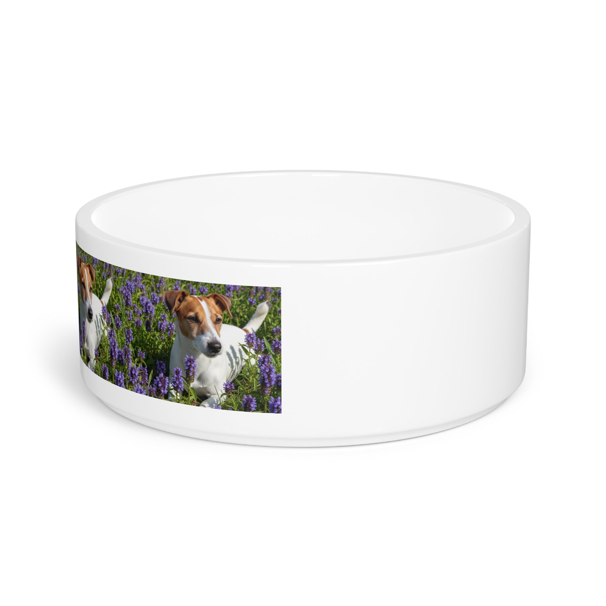 Ceramic Pet Bowl – 16 oz Dog Feeding Bowl