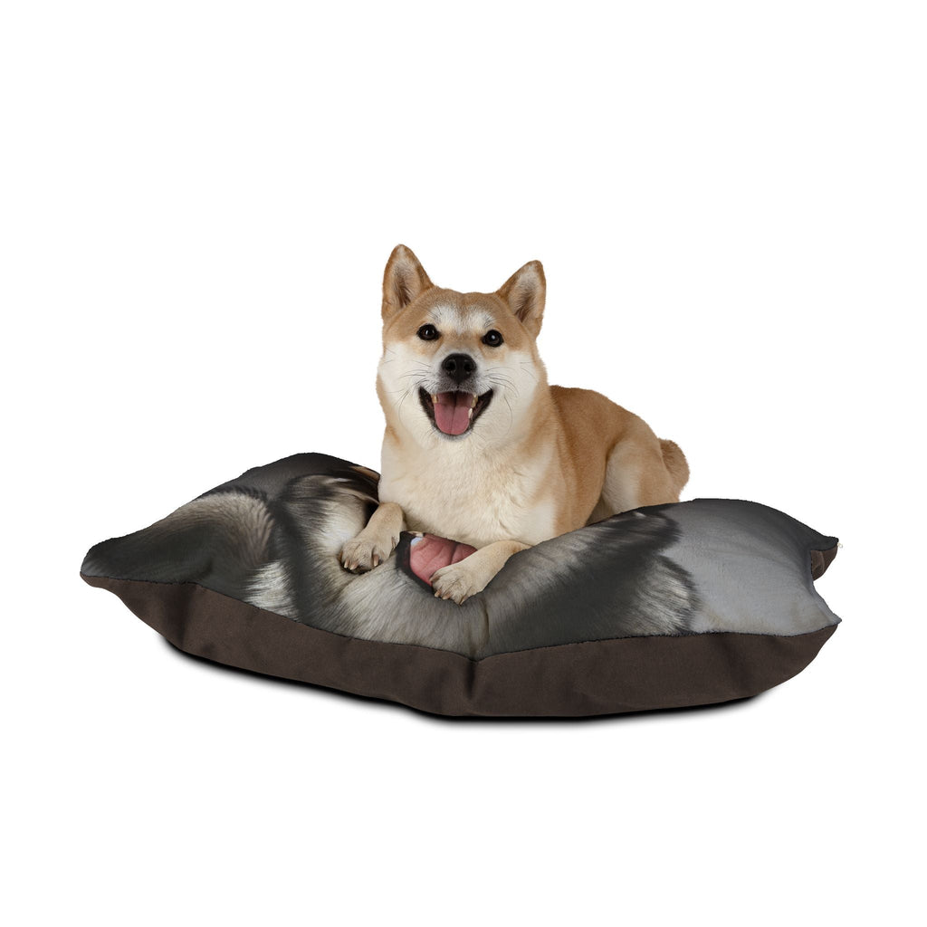 Pet Bed – Plush Dog Bed, 3 Size Options