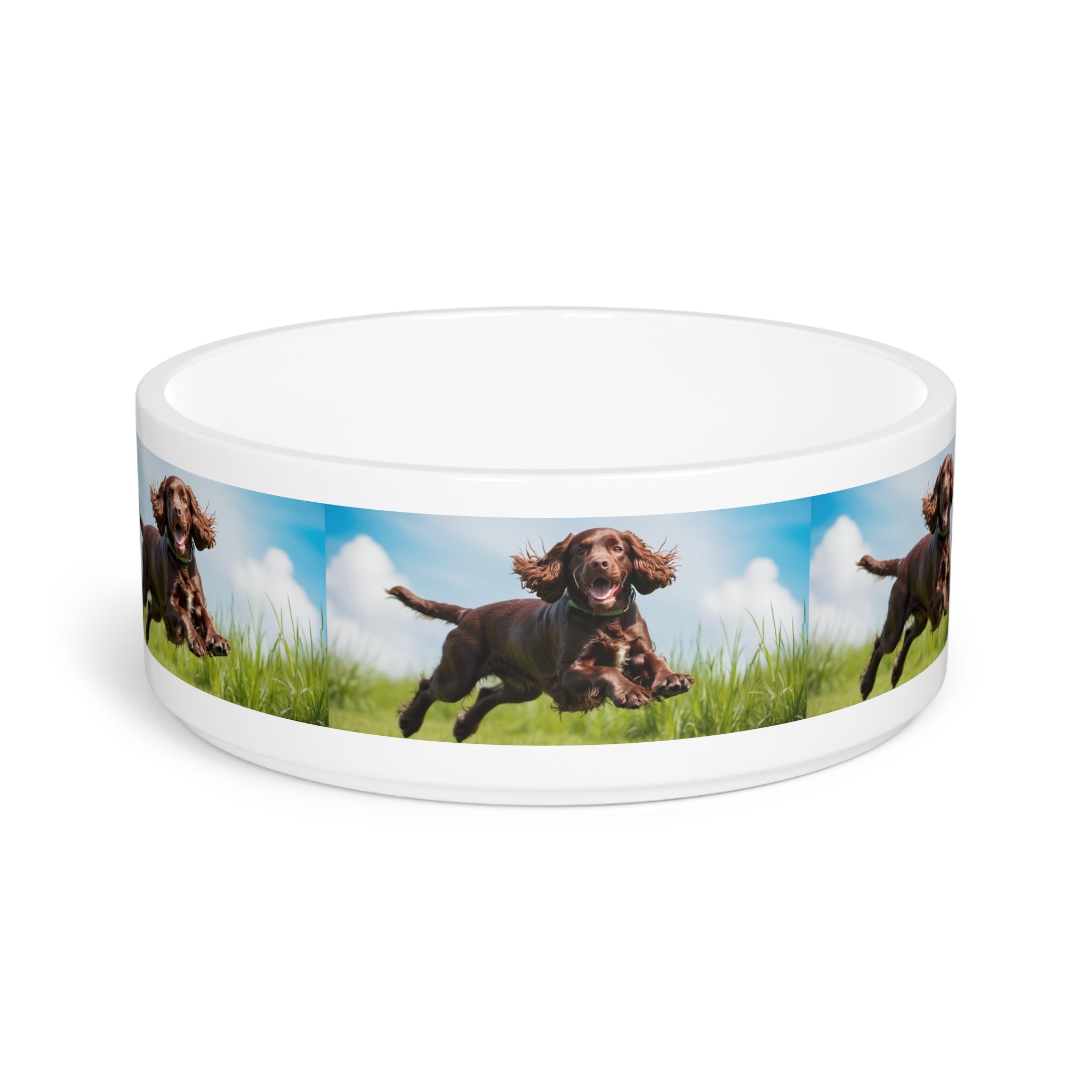 Ceramic Pet Bowl – 16 oz Dog Feeding Bowl