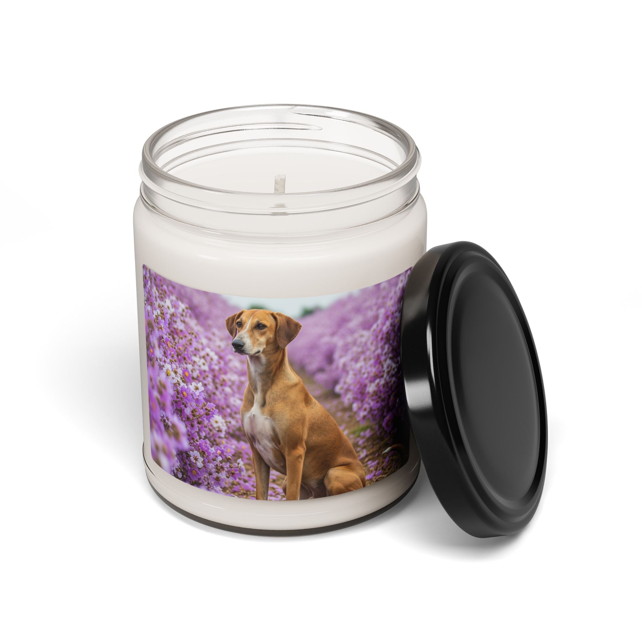 Soy Candle – Scented Jar Candle