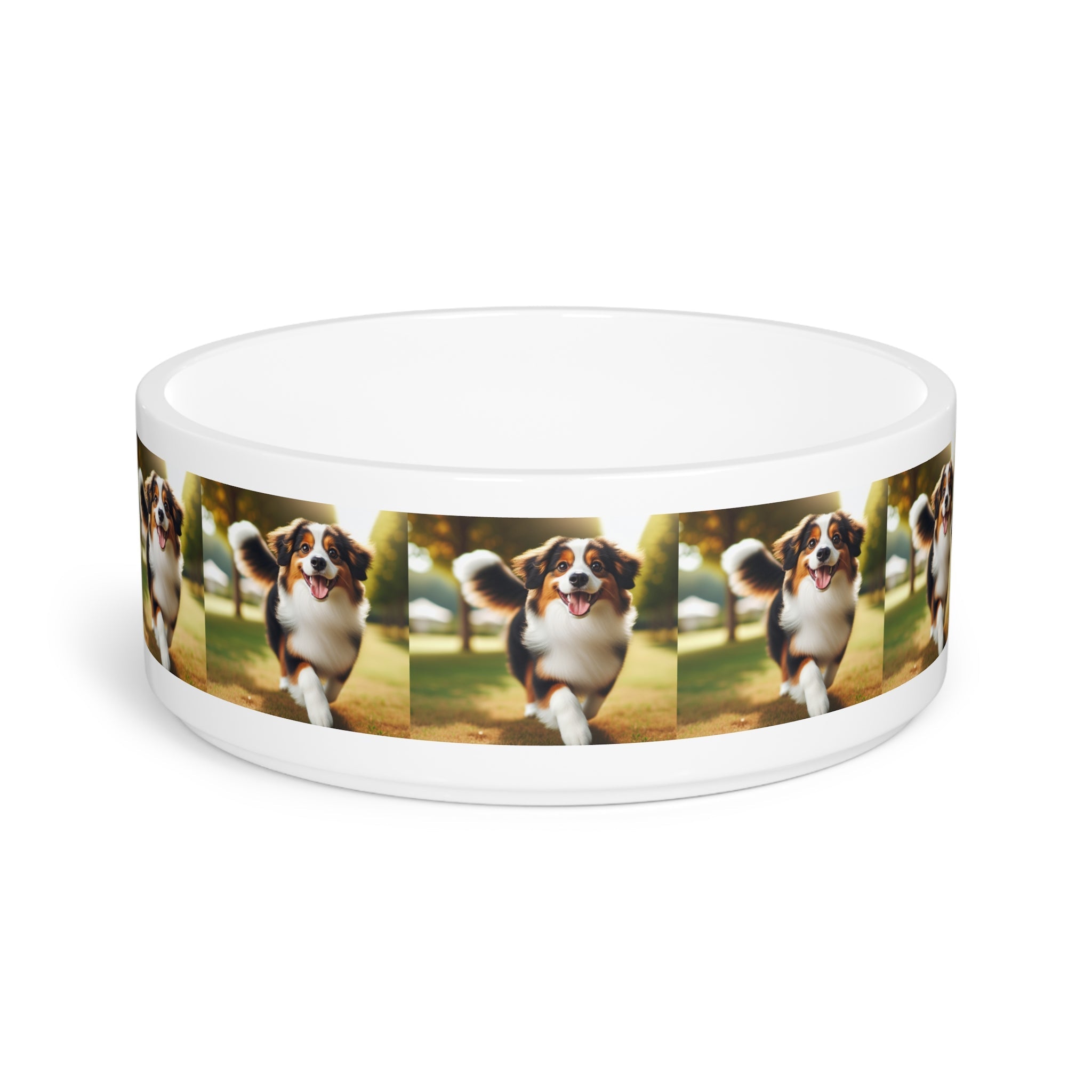 Ceramic Pet Bowl – 16 oz Dog Feeding Bowl