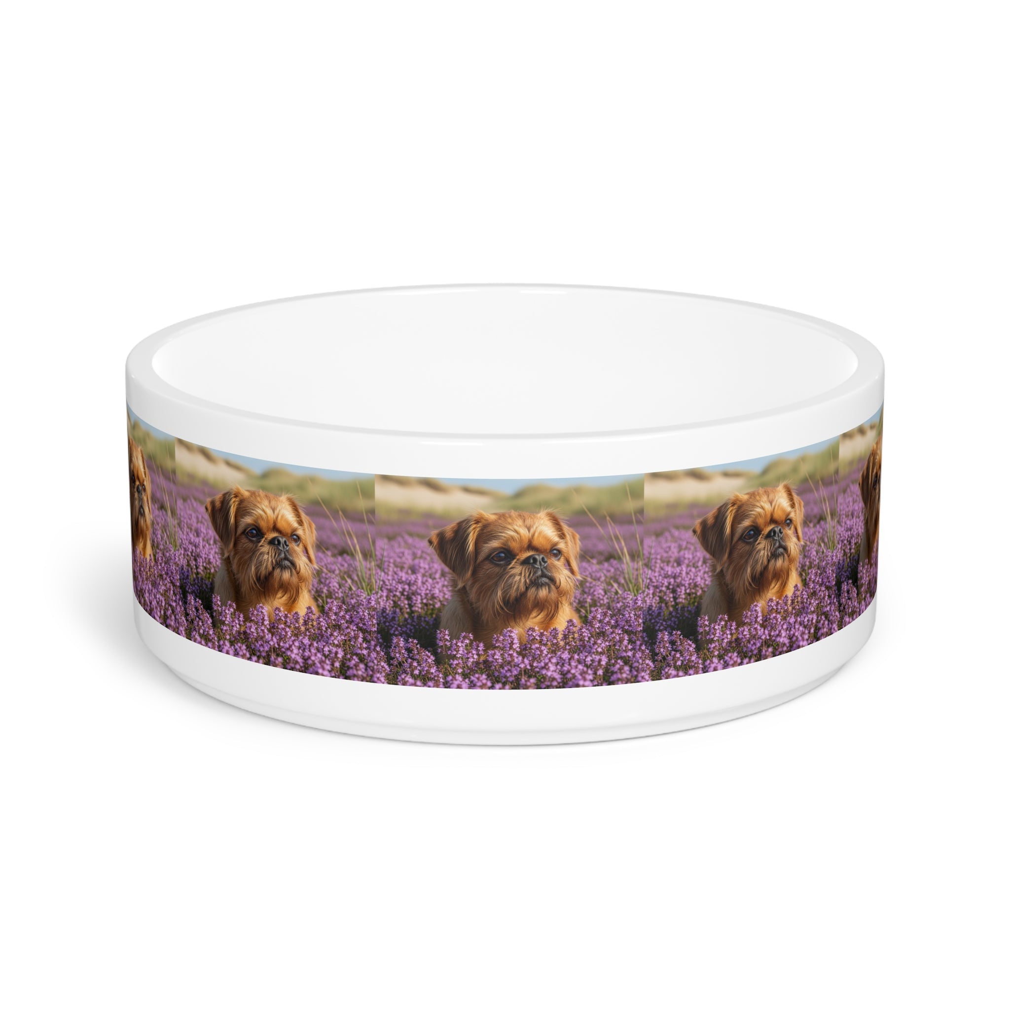 Ceramic Pet Bowl – 16 oz Dog Feeding Bowl