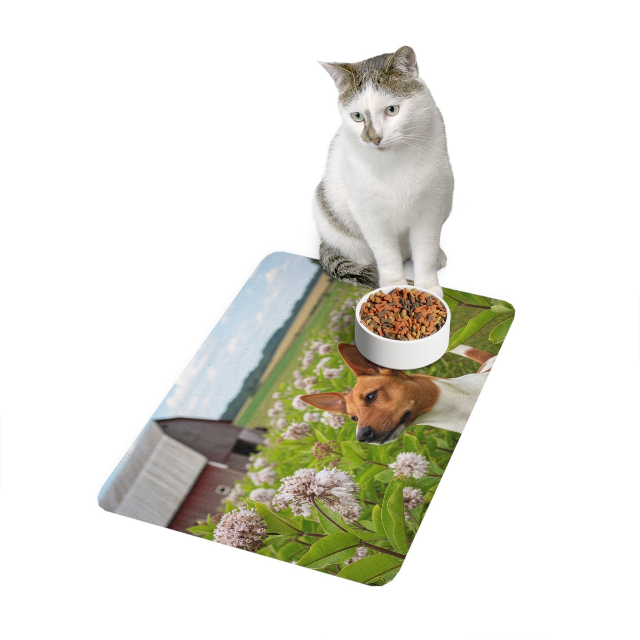 Non-Slip Pet Food Mat – Waterproof Feeding Mat for Dogs