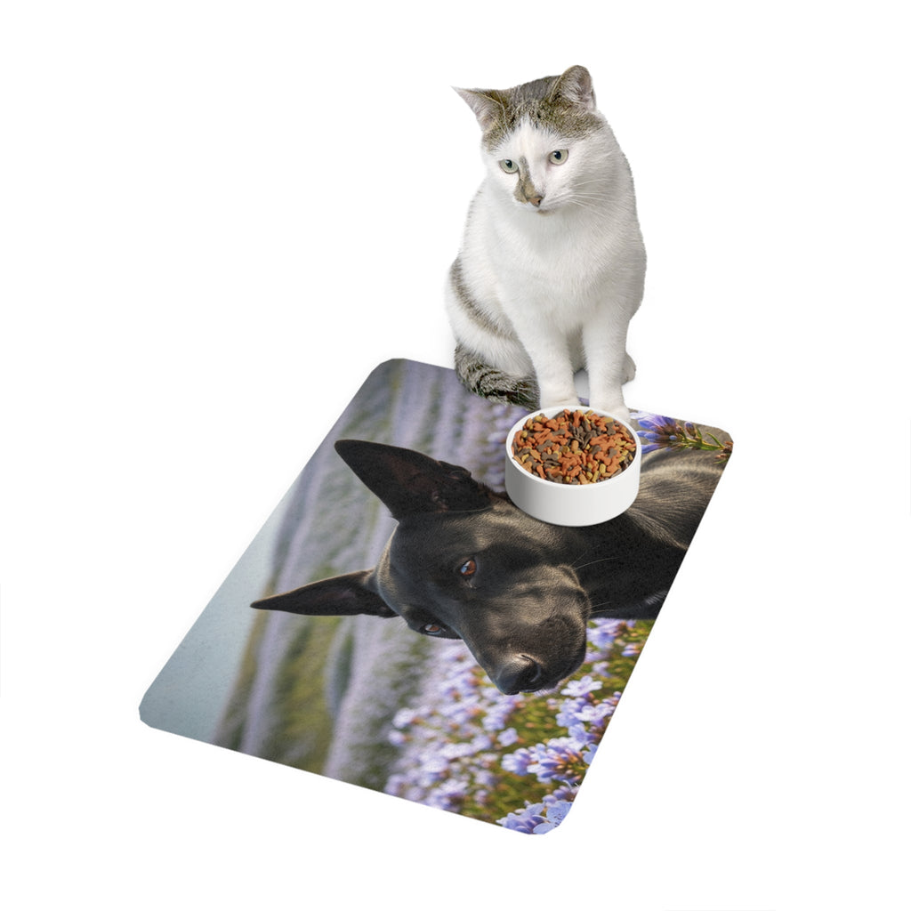 Non-Slip Pet Food Mat – Waterproof Feeding Mat for Dogs
