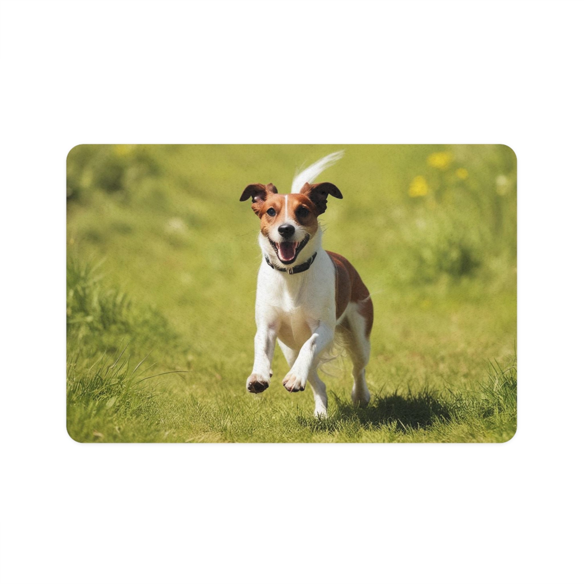 Non-Slip Pet Food Mat – Waterproof Feeding Mat for Dogs