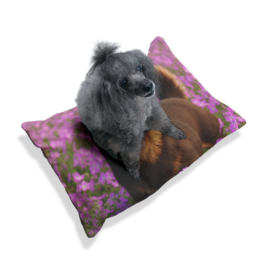 Pet Bed – Plush Dog Bed, 3 Size Options