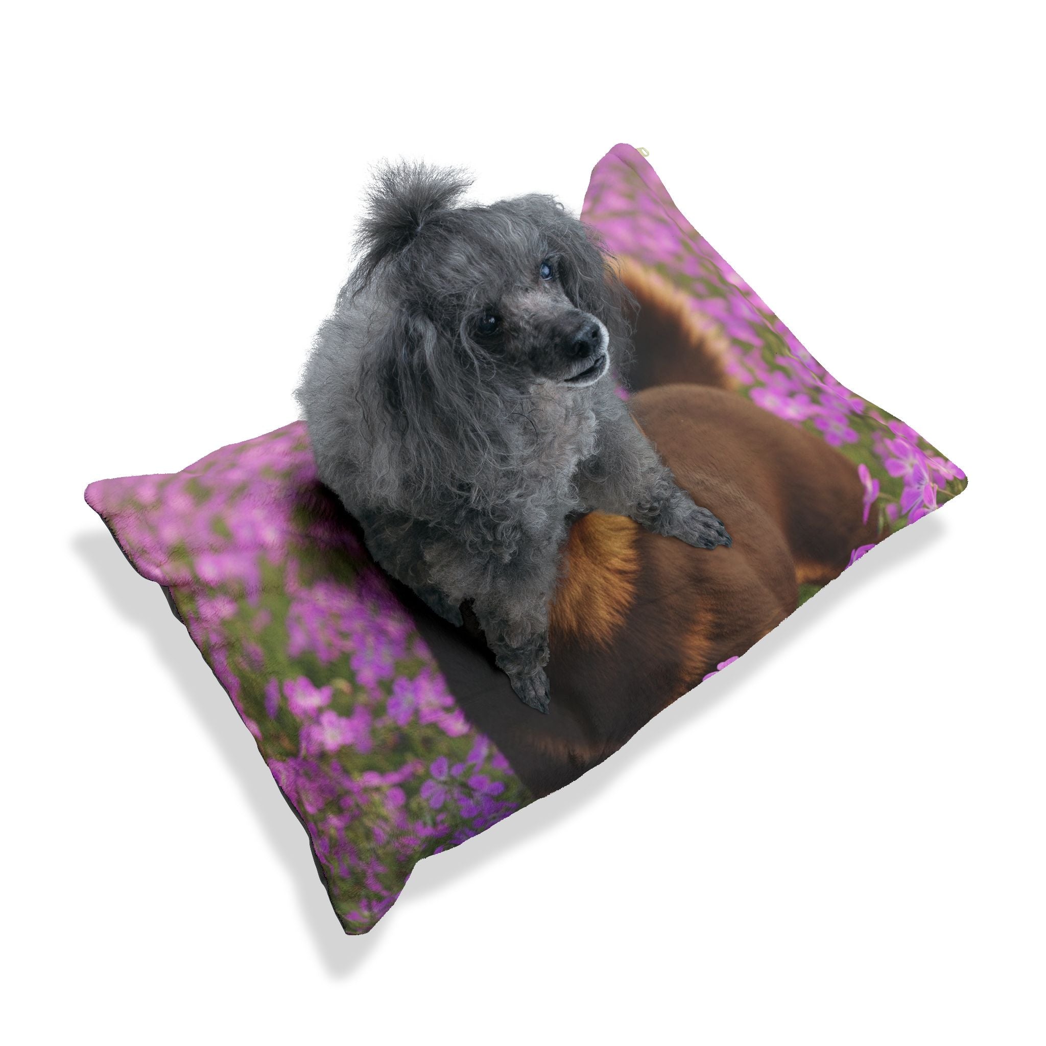 Pet Bed – Plush Dog Bed, 3 Size Options