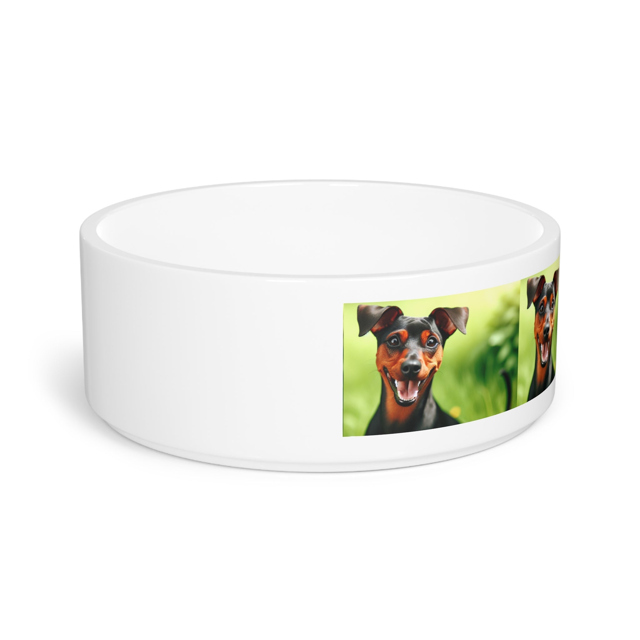 Ceramic Pet Bowl – 16 oz Dog Feeding Bowl