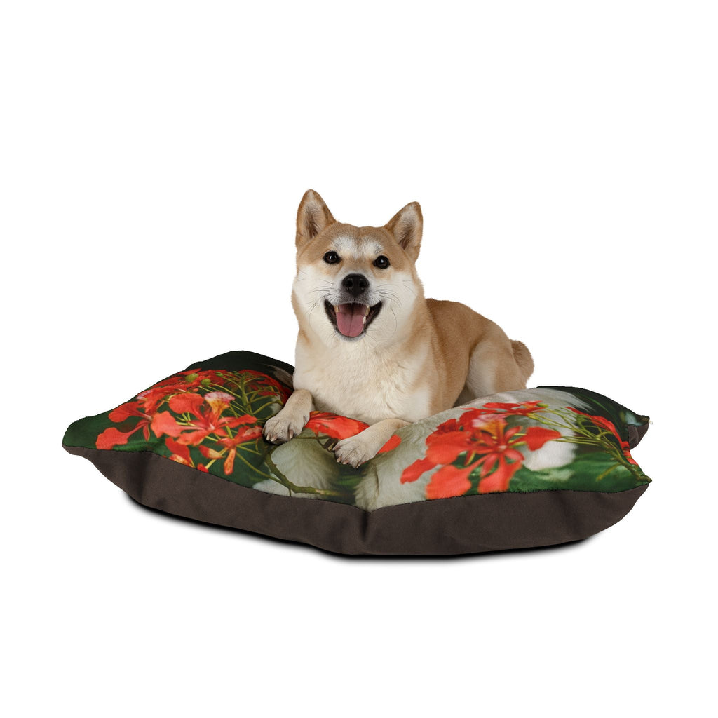 Pet Bed – Plush Dog Bed, 3 Size Options